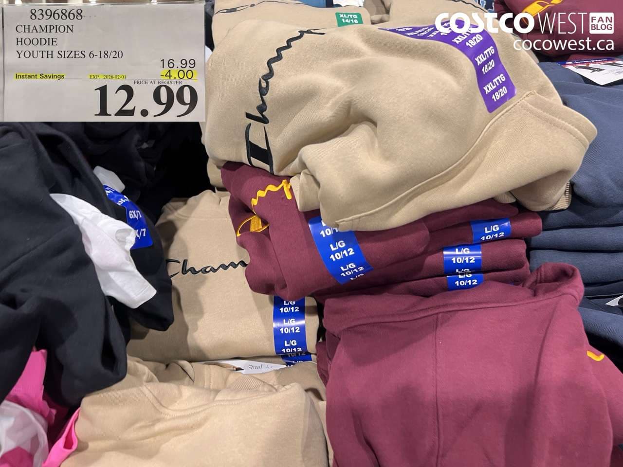 CHAMPION HOODIE YOUTH SIZES 6-18/20