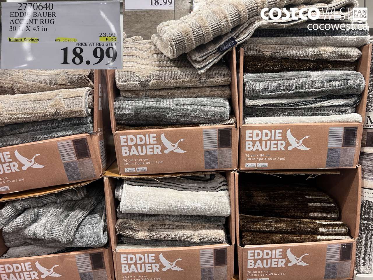 EDDIE BAUER ACCENT RUG 30 IN X 45 IN