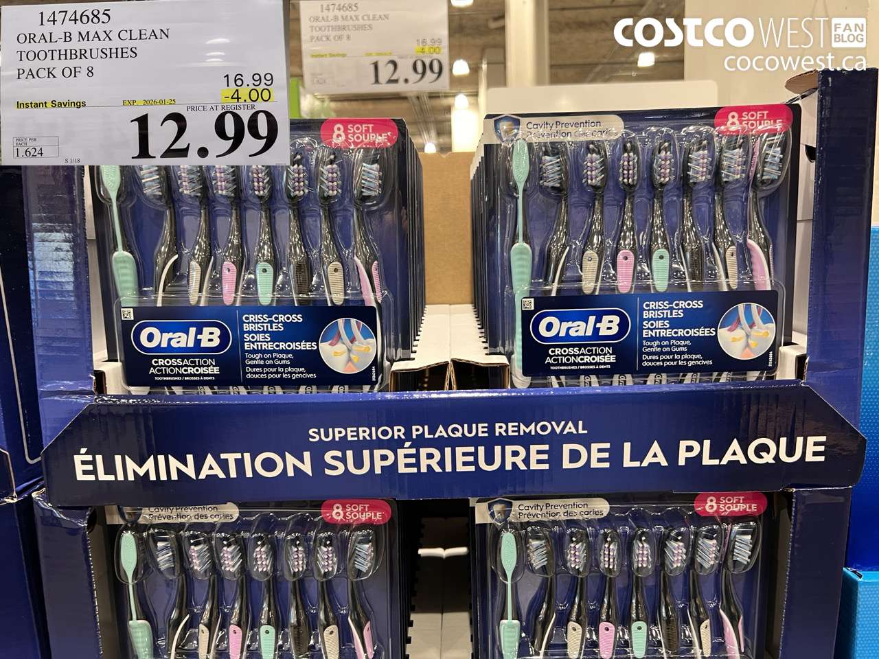 ORAL-B MAX CLEAN TOOTHBRUSHES PACK OF 8