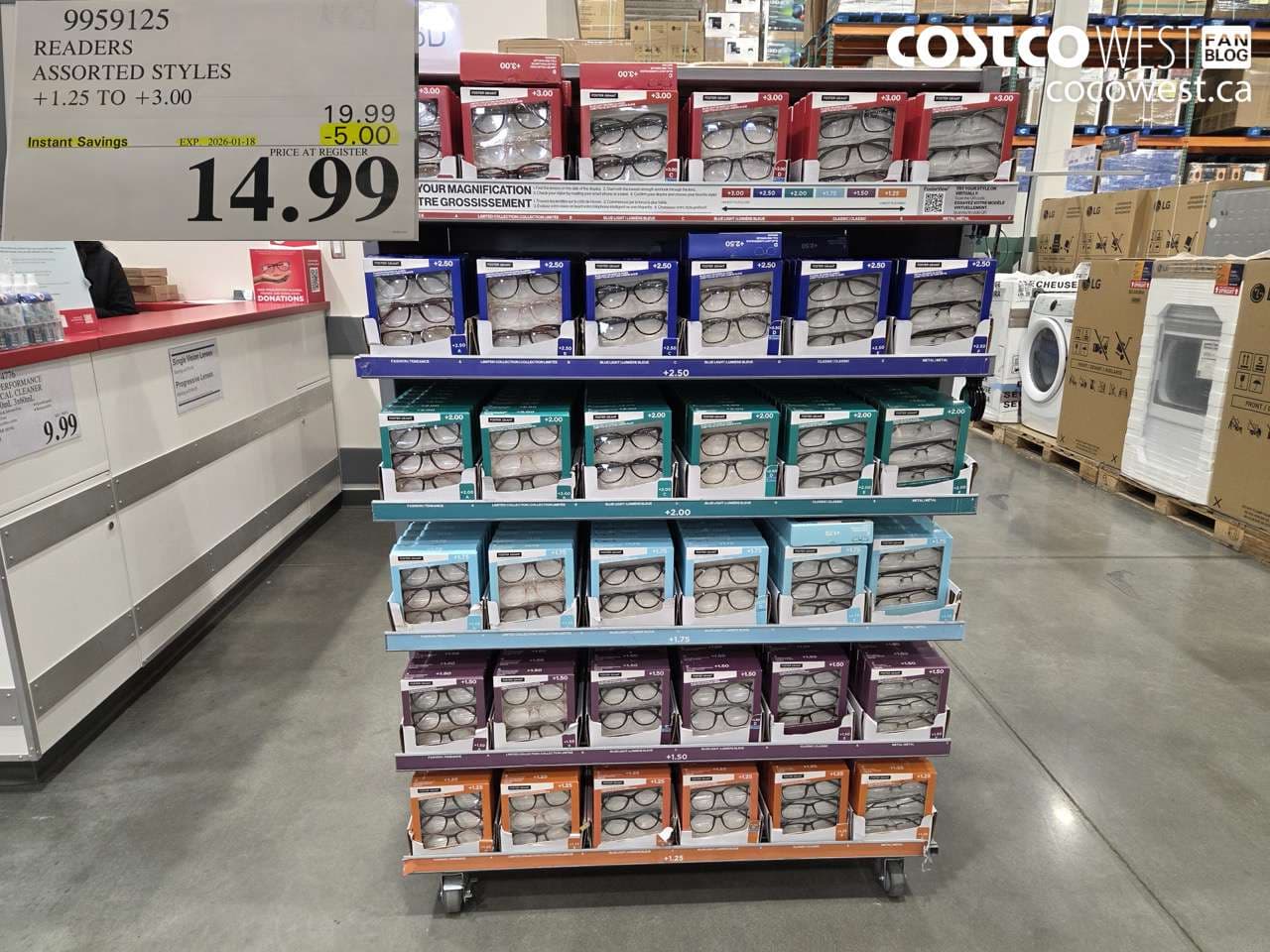 READERS ASSORTED STYLES +1.25 TO +3.00