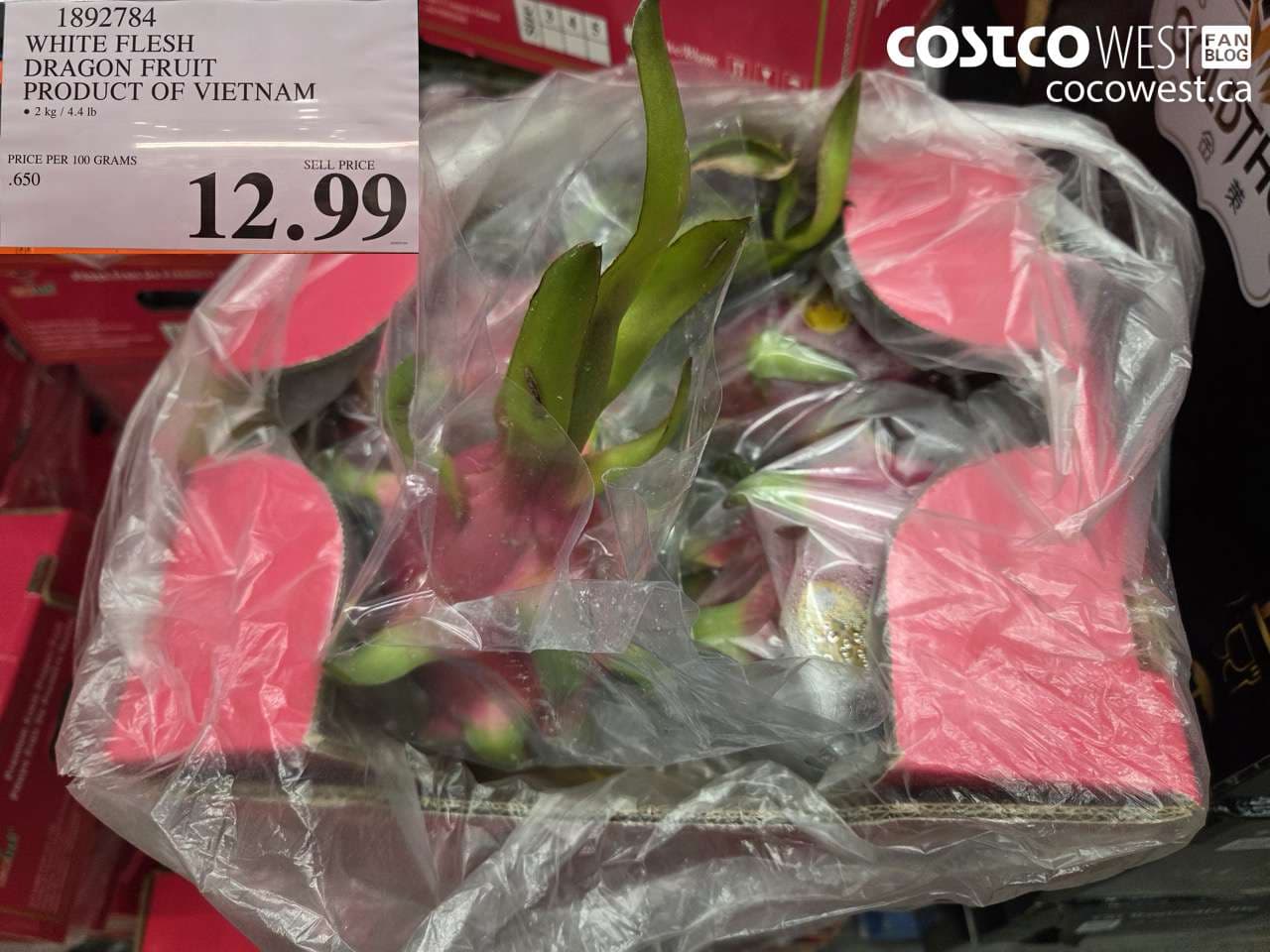 WHITE FLESH DRAGON FRUIT PRODUCT OF VIETNAM