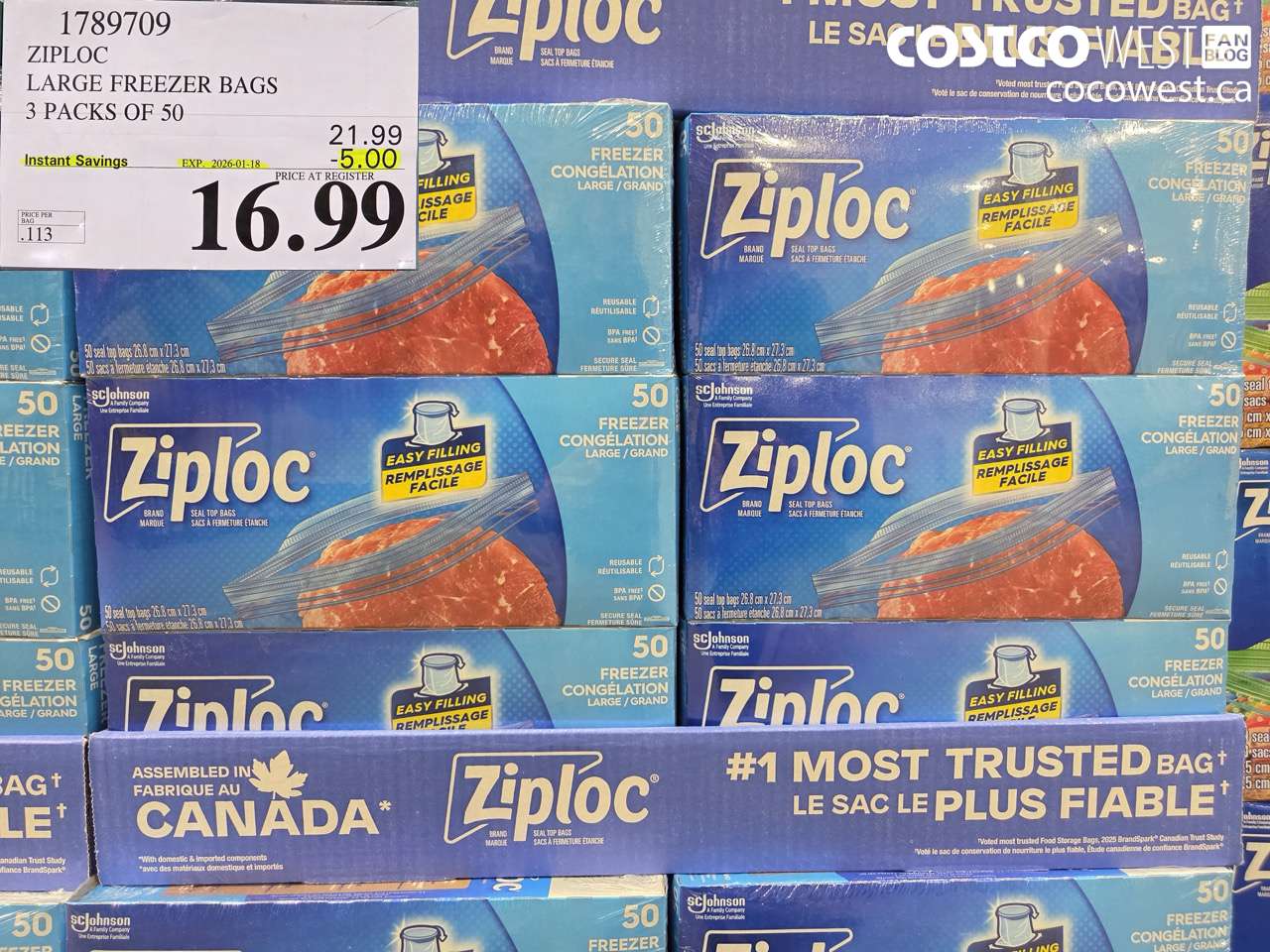 ZIPLOC LARGE FREEZER BAG 3 X 50 2025-01-9