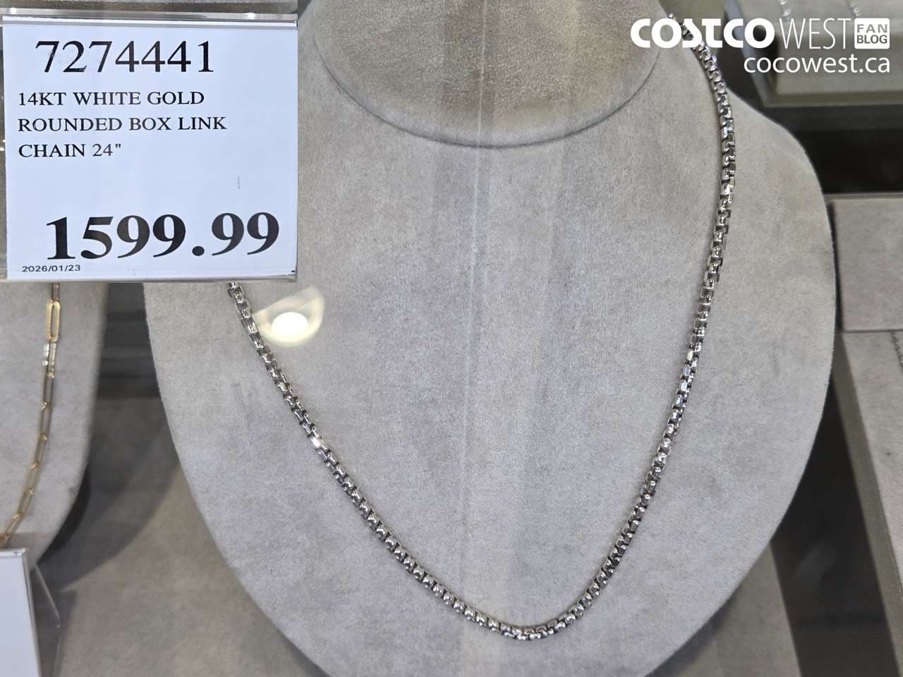 14KT WHITE GOLD ROUNDED BOX LINK CHAIN