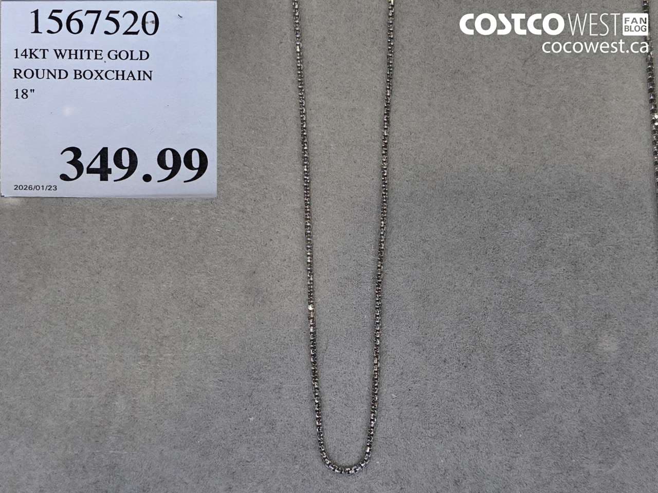 14KT WHITE GOLD ROUND BOXCHAIN