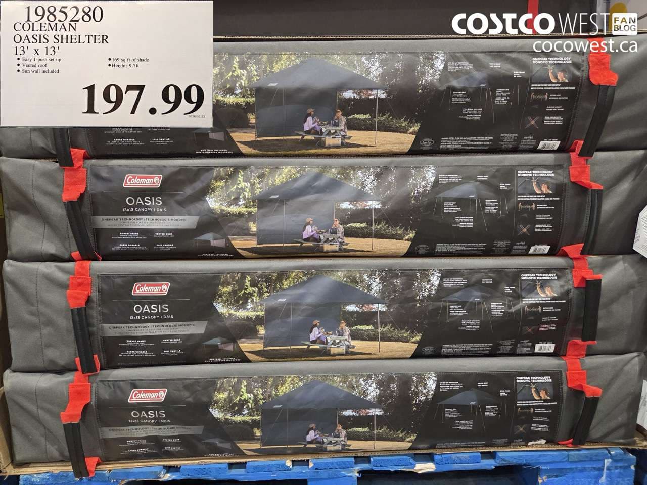 coleman oasis shelter