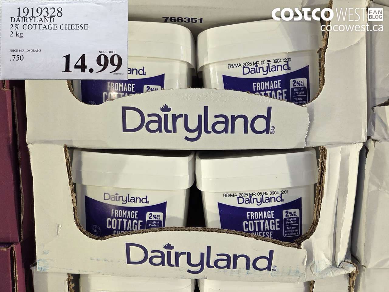 DAIRYLAND 2% COTTAGE CHEESE 2 kg