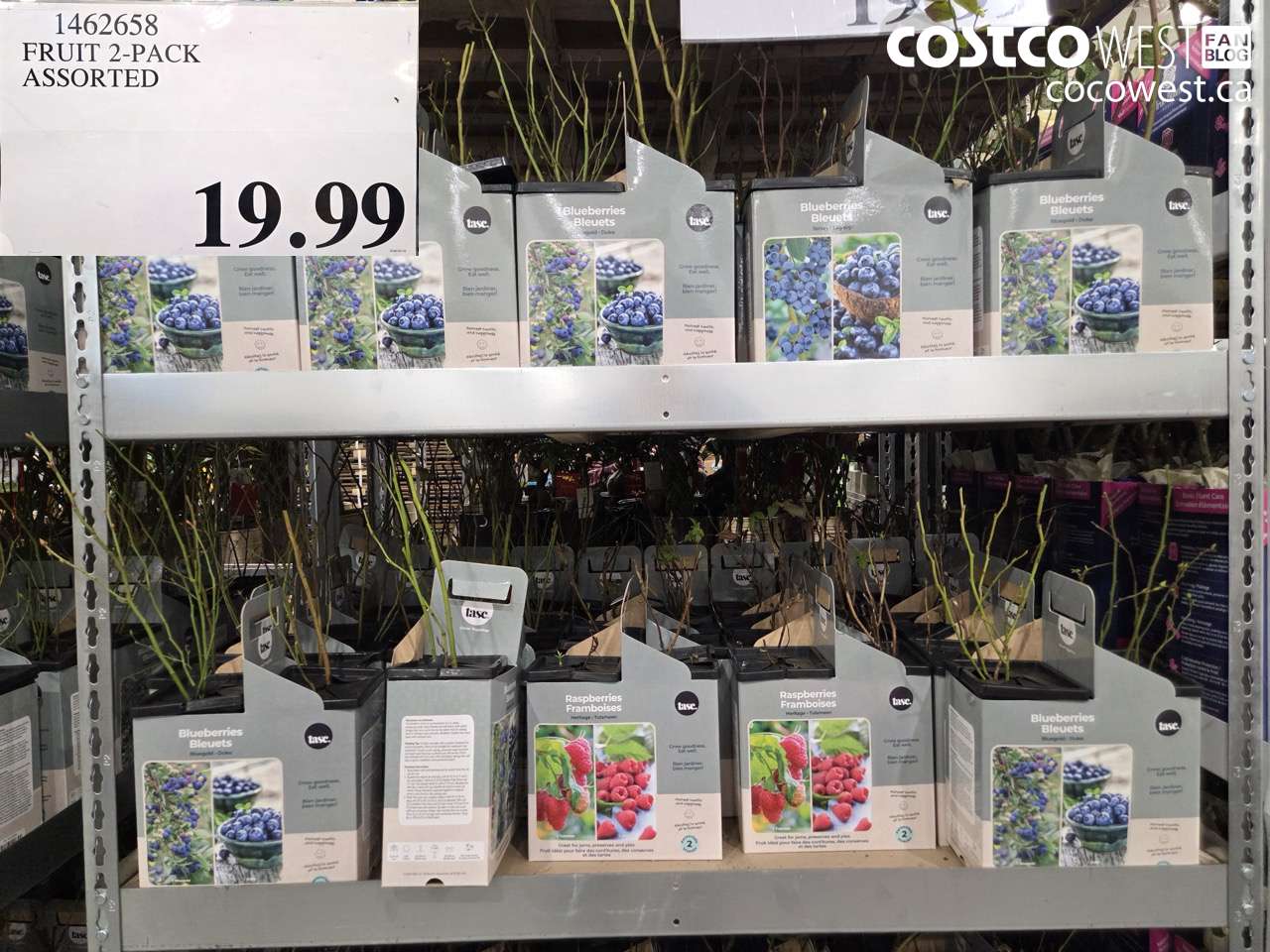 FRUIT 2-PACK ASSORTED