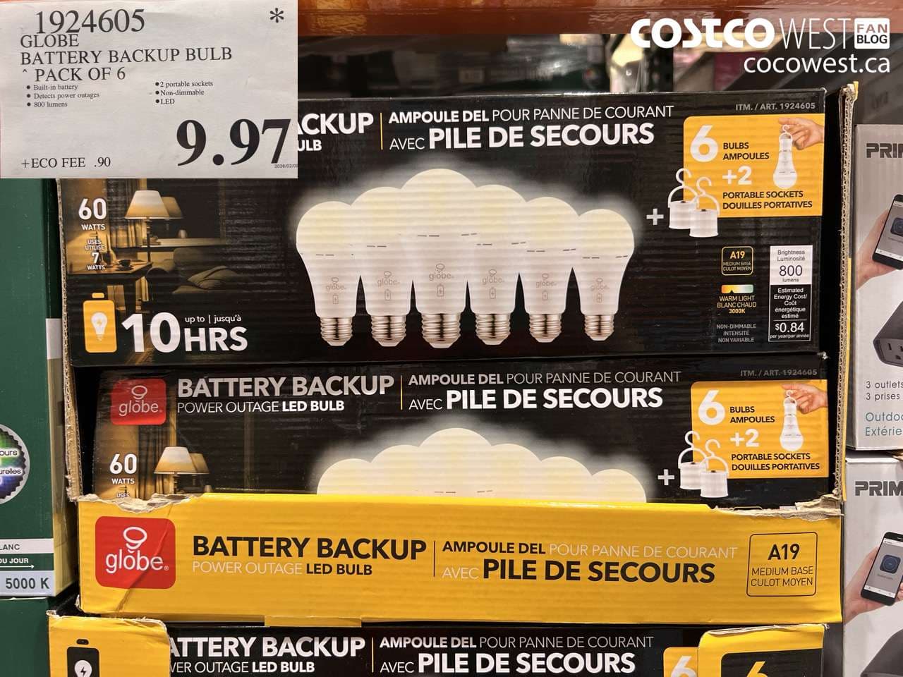 GLOBE BATTERY BACKUP BULB PACK OF 6