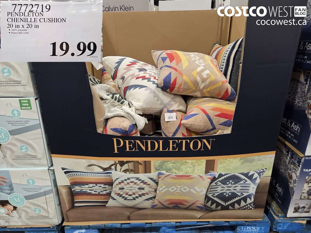 pendleton chenille cushion 20 in x 20 in
