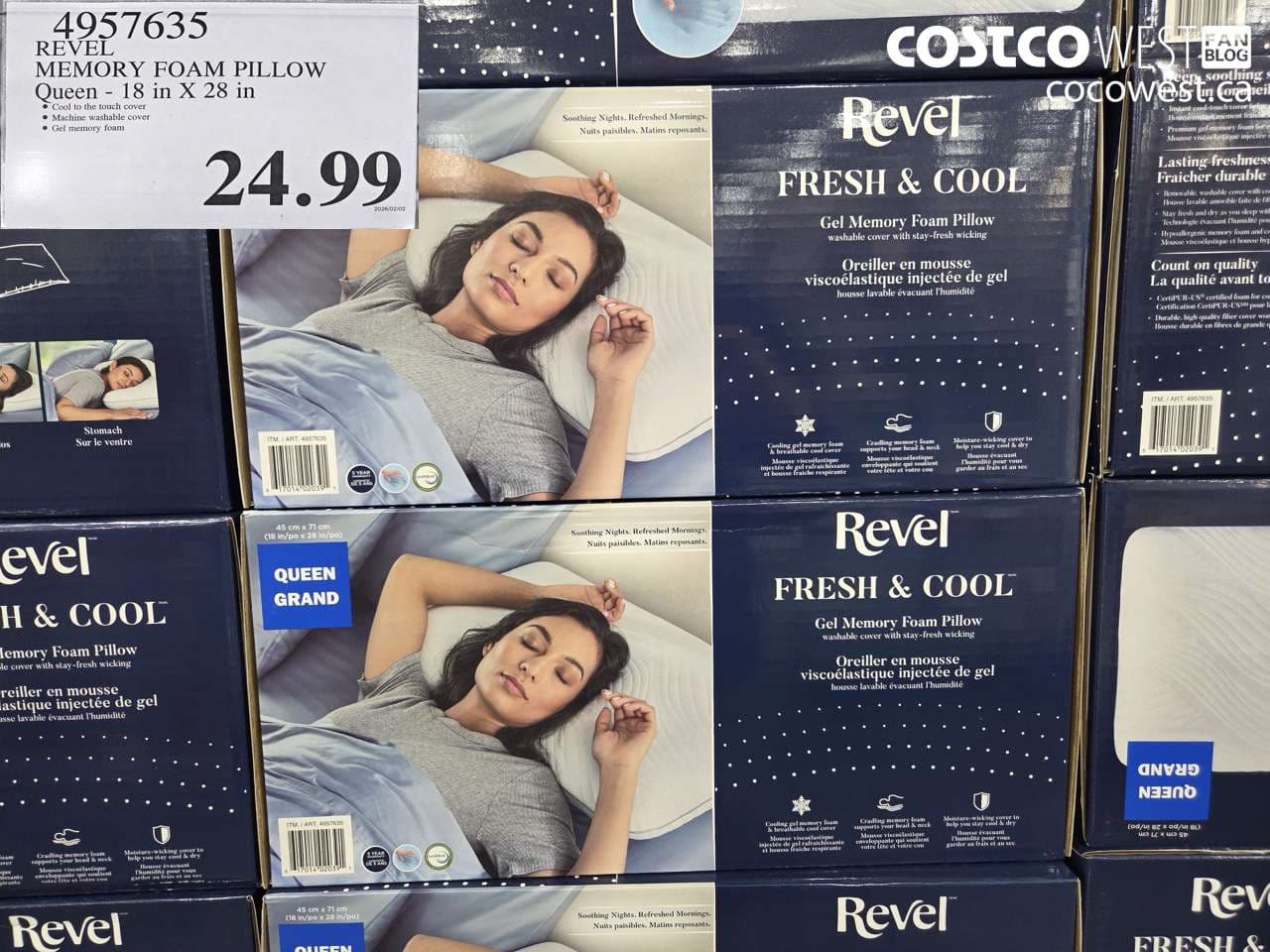 REVEL MEMORY FOAM PILLOW QUEEN 18 IN X 28 IN