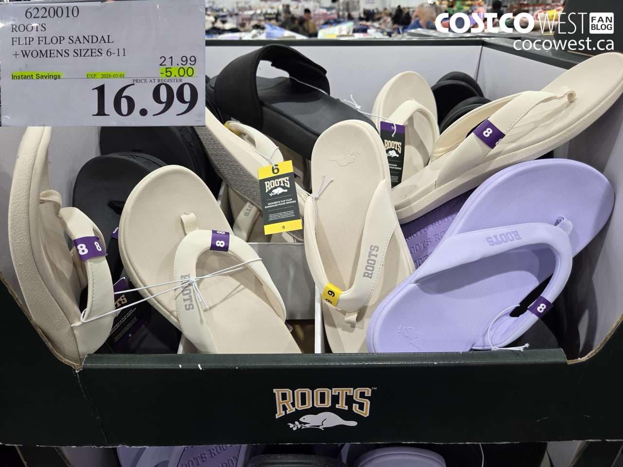 ROOTS FLIP FLOP SANDAL + WOMENS SIZES 6-11