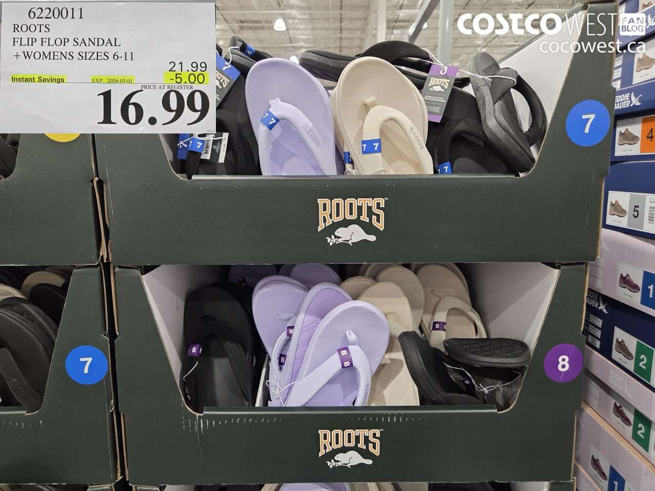 ROOTS FLIP FLOP SANDAL + WOMENS SIZES 6-11