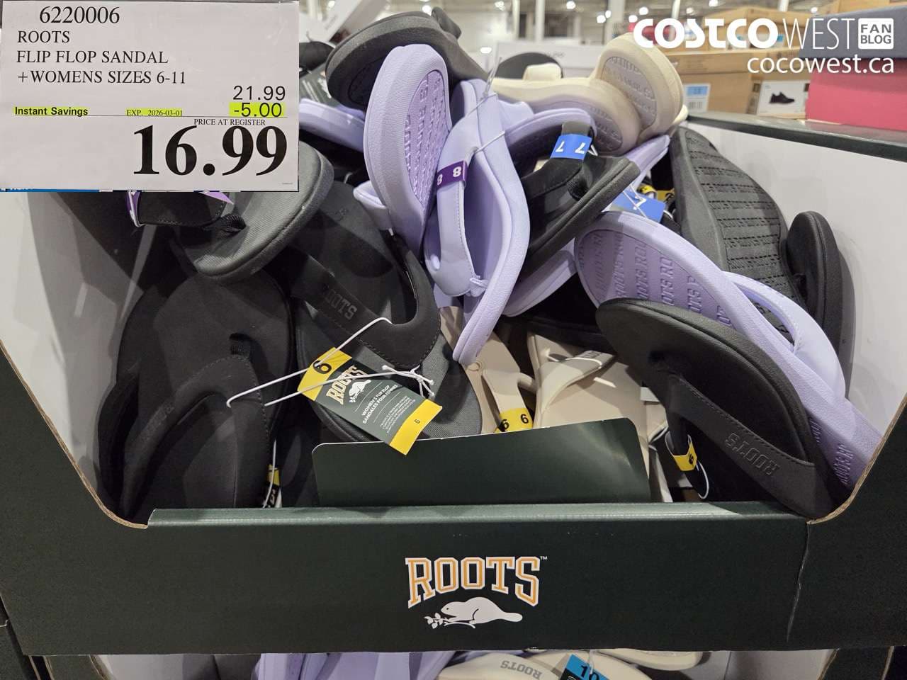 roots flip flop sandal  womens sizes 611