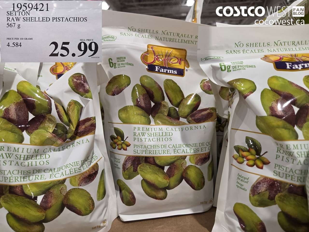 SETTON RAW SHELLED PISTACHIOS 567 G