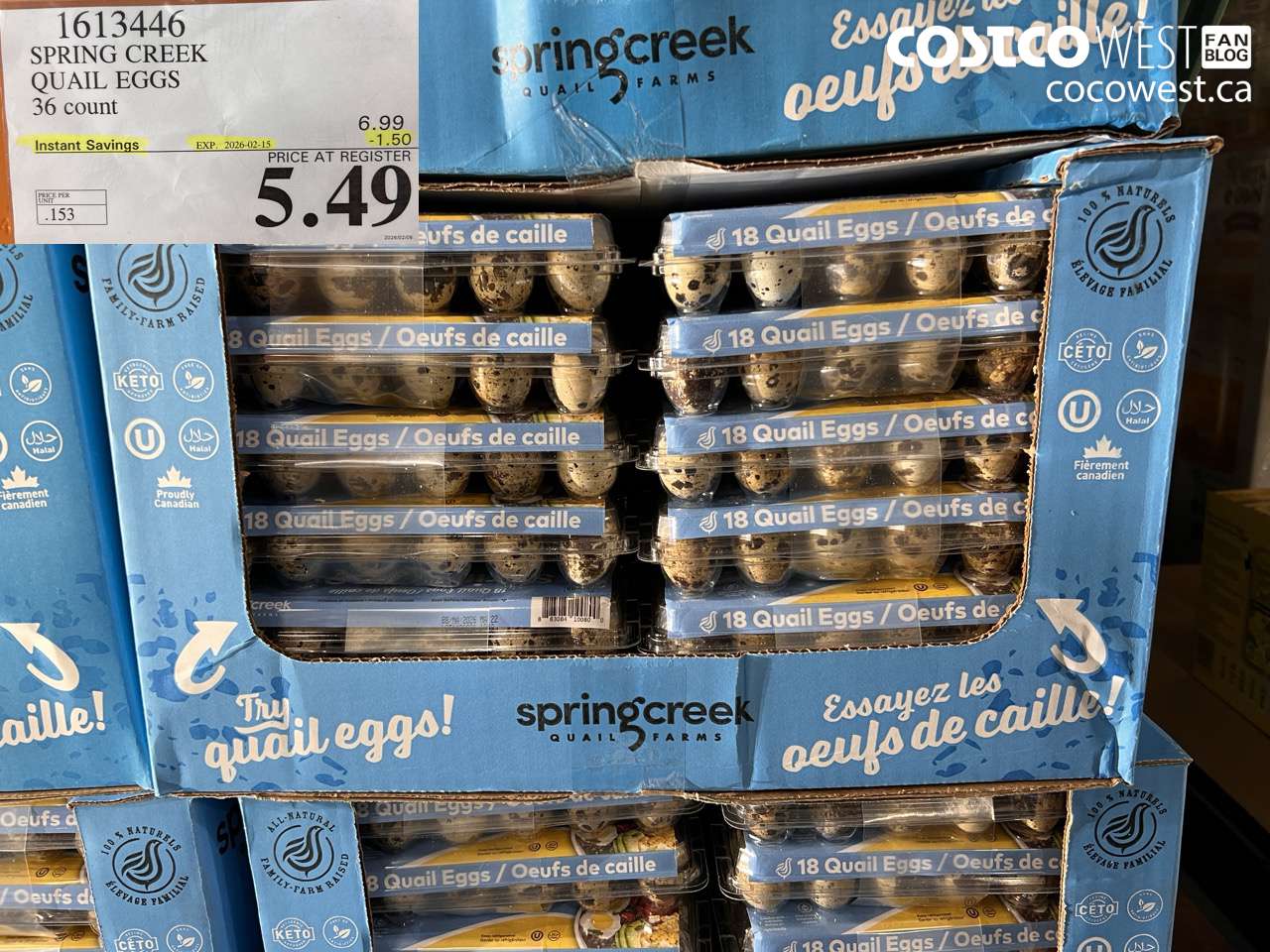 SPRING CREEK QUAIL EGGS 36 count