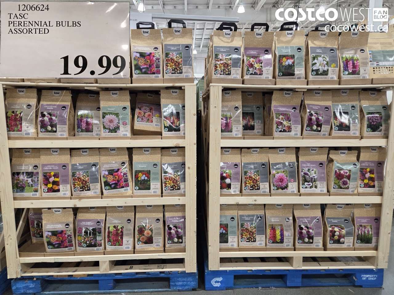 TASC PERENNIAL BULBS ASSORTED