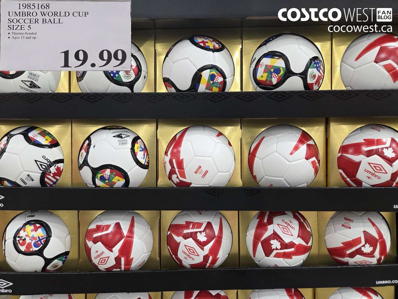 umbro world cup soccer ball size 5