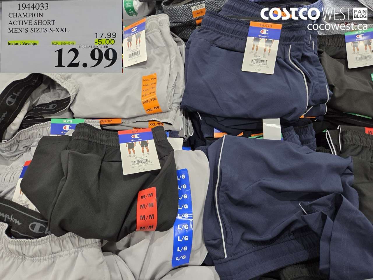 champion active short mens sizes sxxl