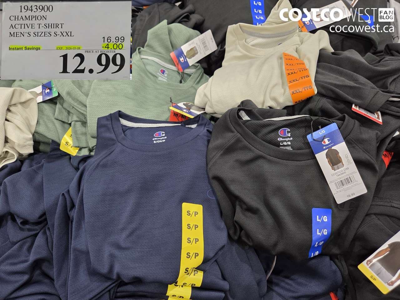 champion active tshirt mens sizes sxxl