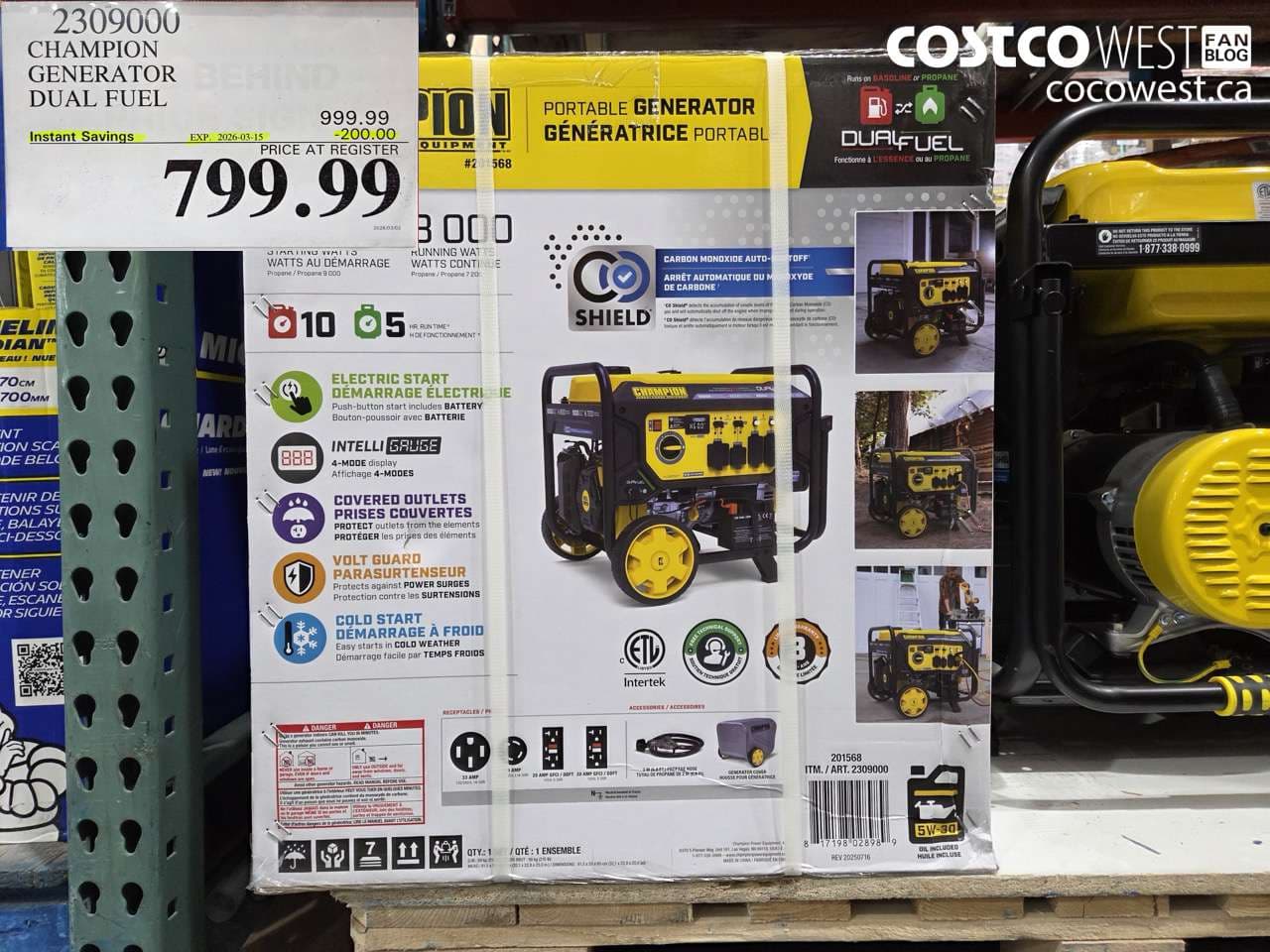 champion generator dual fuel