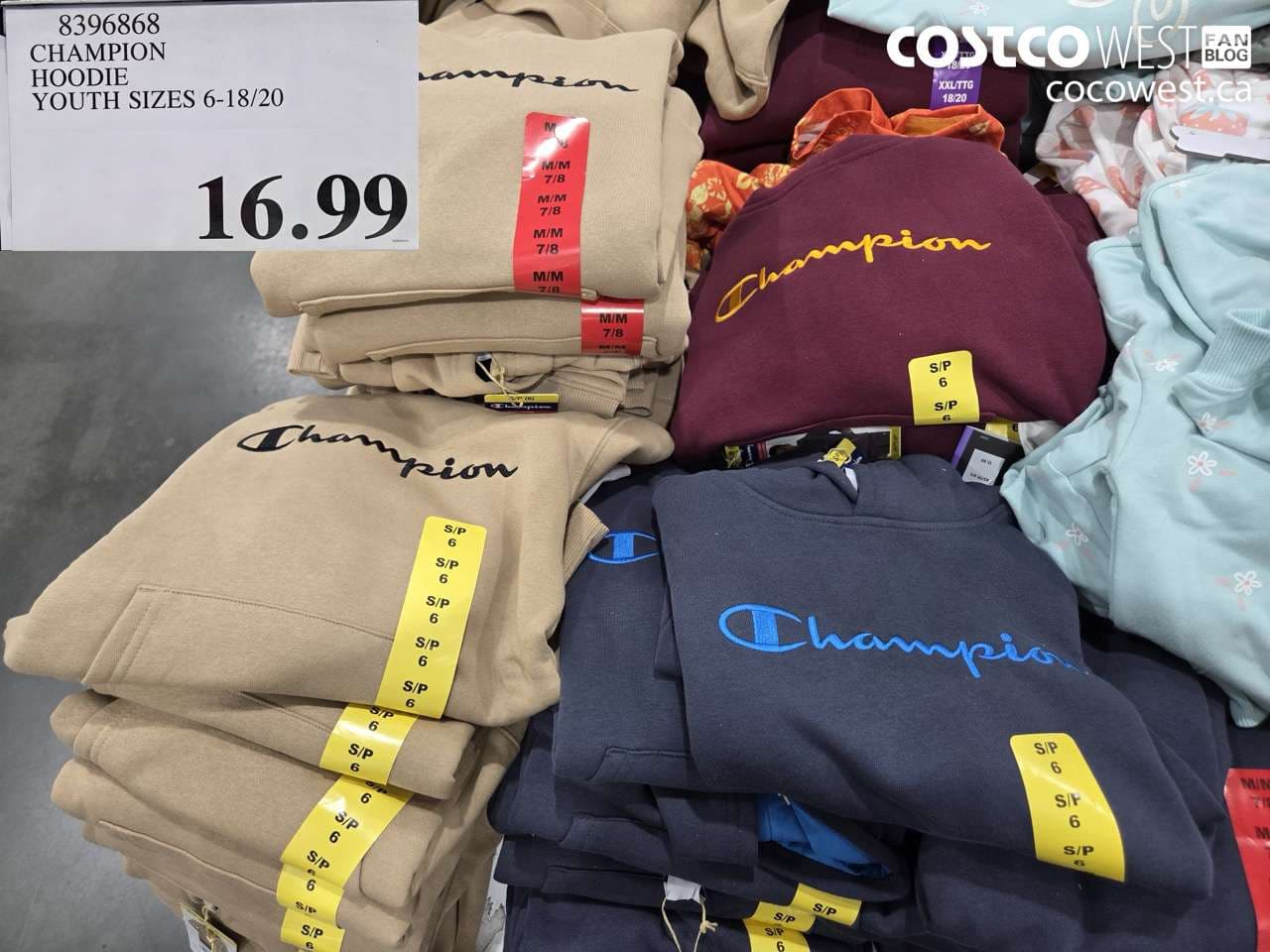 champion hoodie youth sizes 61820