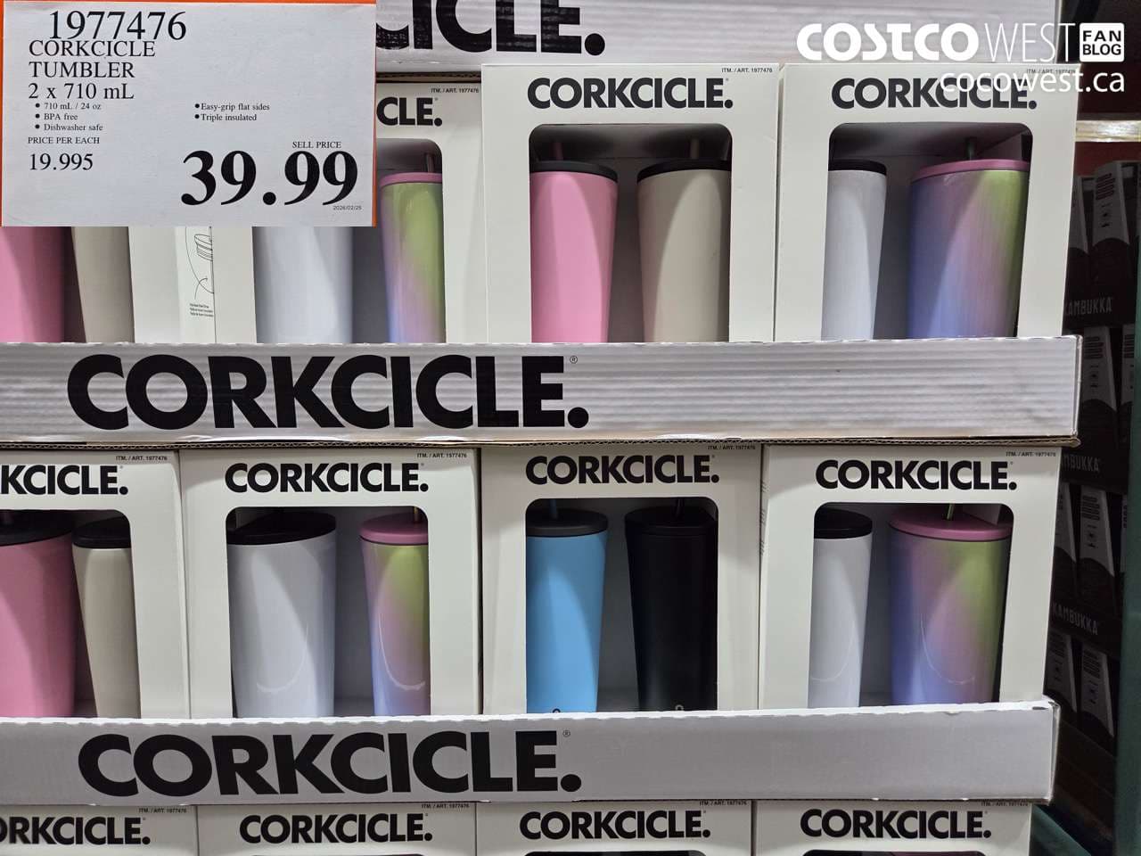 corkcicle tumbler 2 x 710 ml