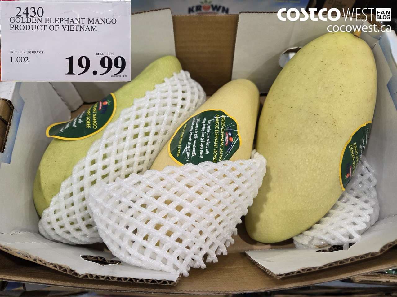 GOLDEN ELEPHANT MANGO PRODUCT OF VIETNAM