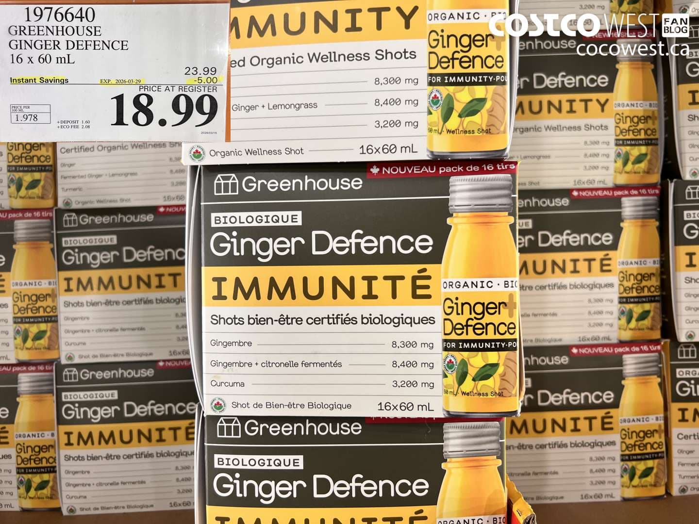 GREENHOUSE GINGER DEFENCE 16 X 60ML