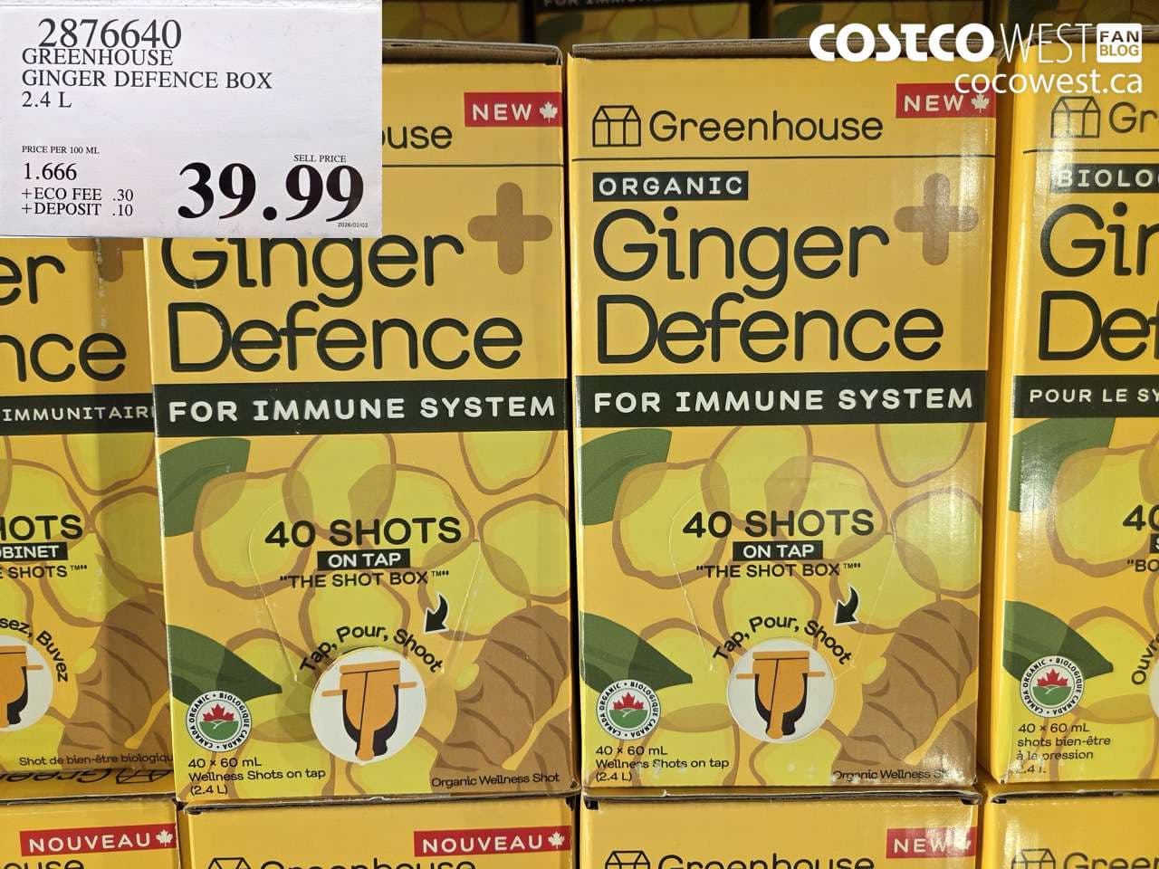 GREENHOUSE GINGER DEFENCE BOX 2.4 L