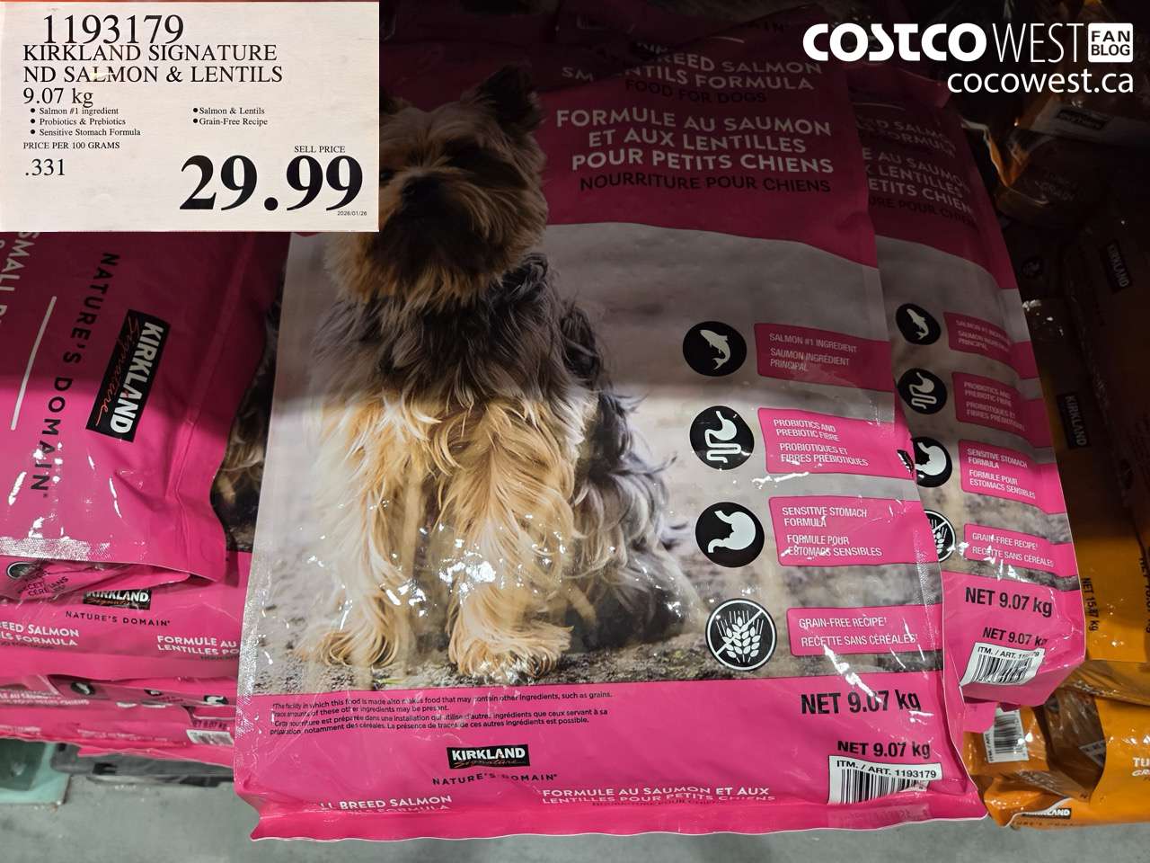 KIRKLAND SIGNATURE ND SALMON & LENTILS 9.07KG