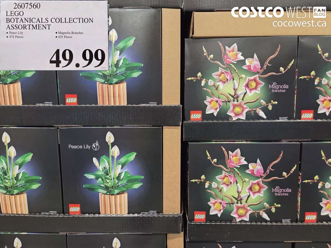 LEGO BOTANICALS COLLECTION ASSORTMENT