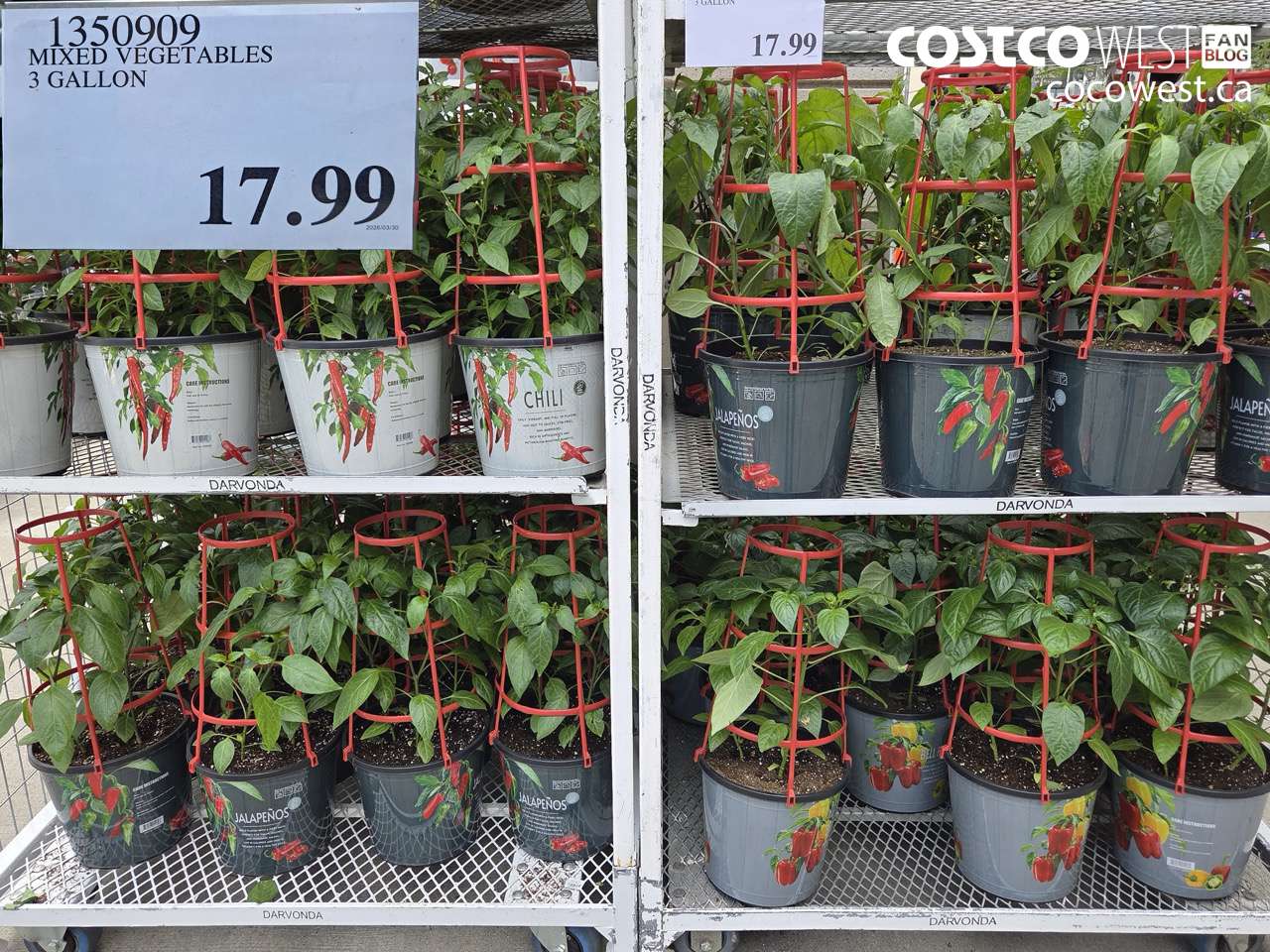 MIXED VEGETABLES 3 GALLON