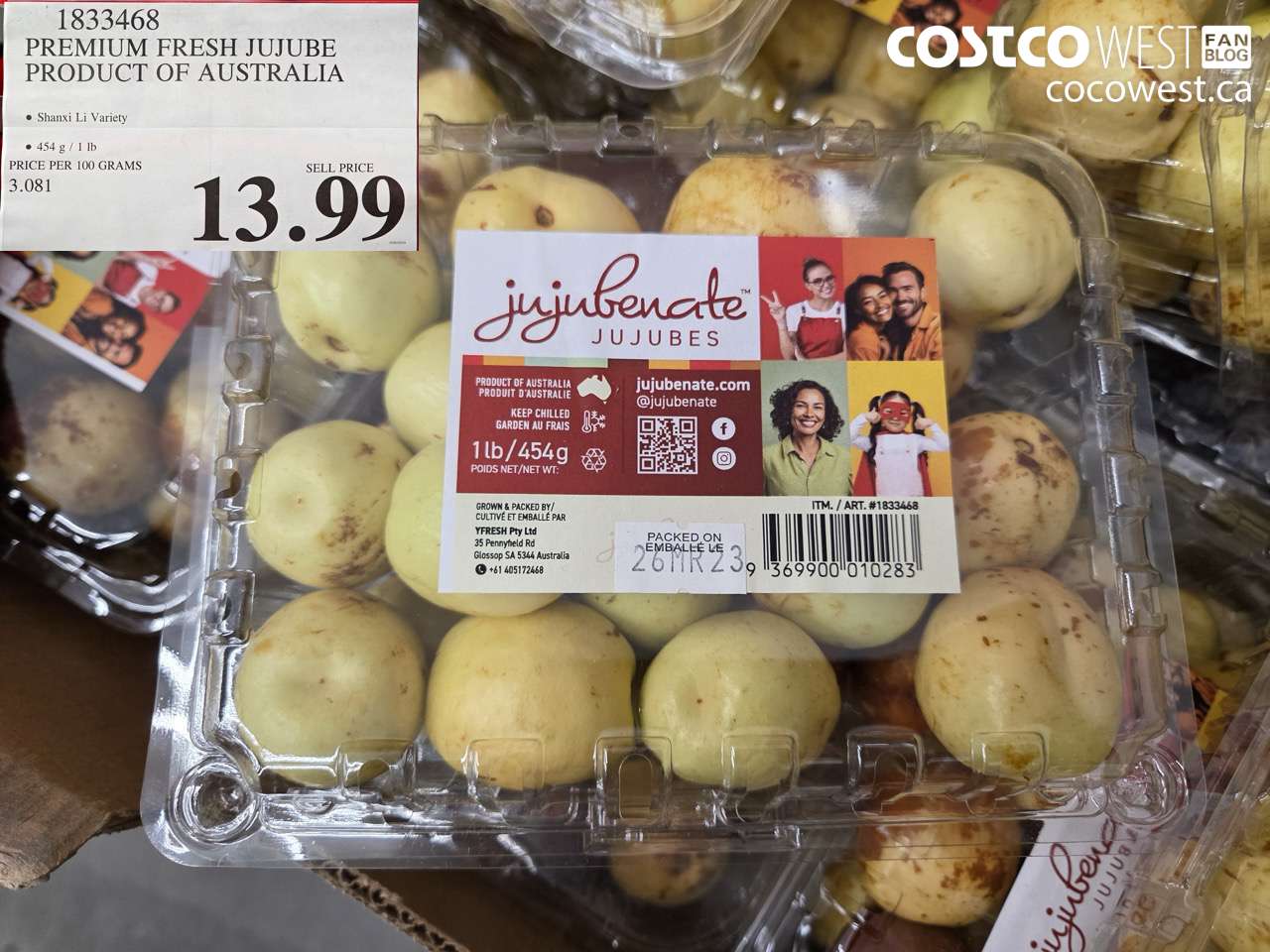 PREMIUM FRESH JUJUBE PRODUCT OF AUSTRALIA