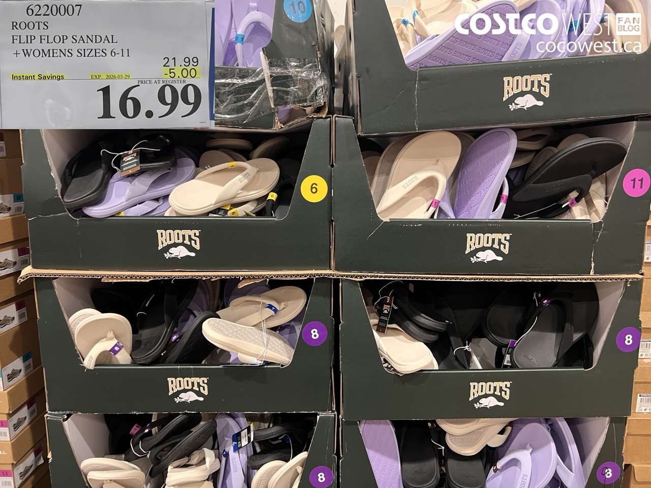 ROOTS FLIP FLOP SANDAL + WOMENS SIZES 6-11