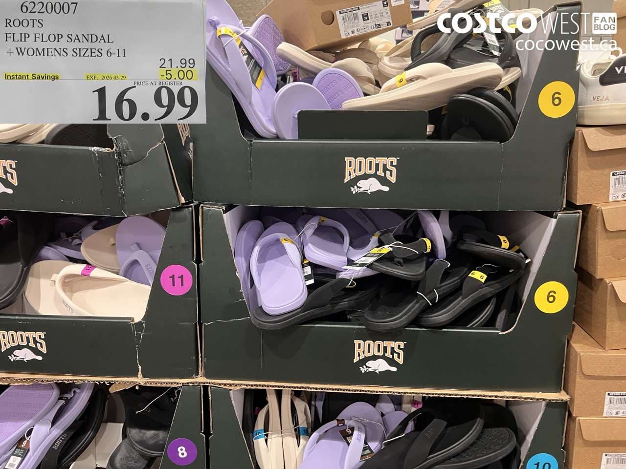 ROOTS FLIP FLOP SANDAL + WOMENS SIZES 6-11