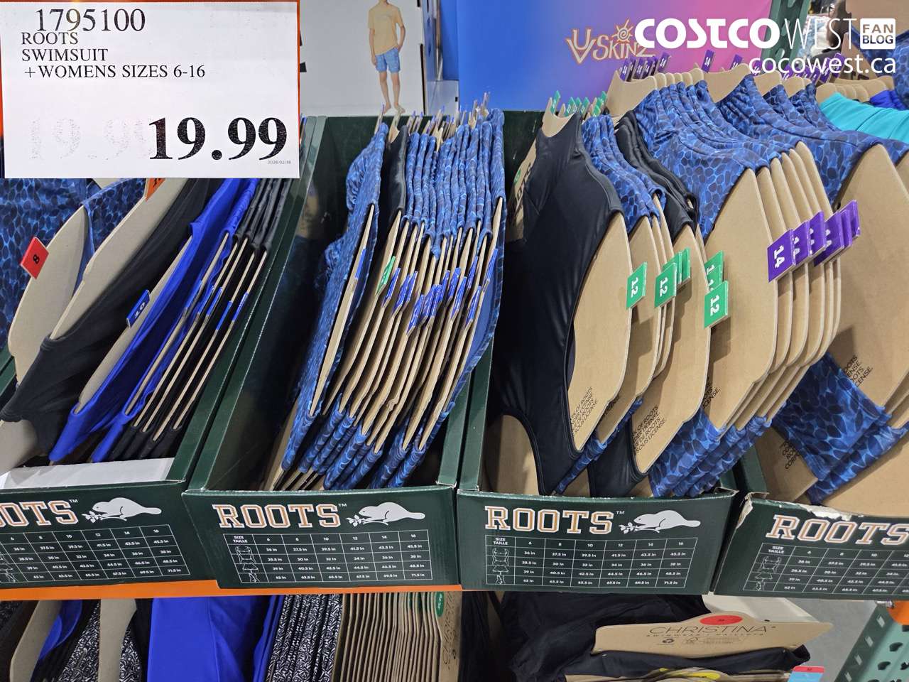 ROOTS SWIMSUIT + WOMENS SIZES 6-16