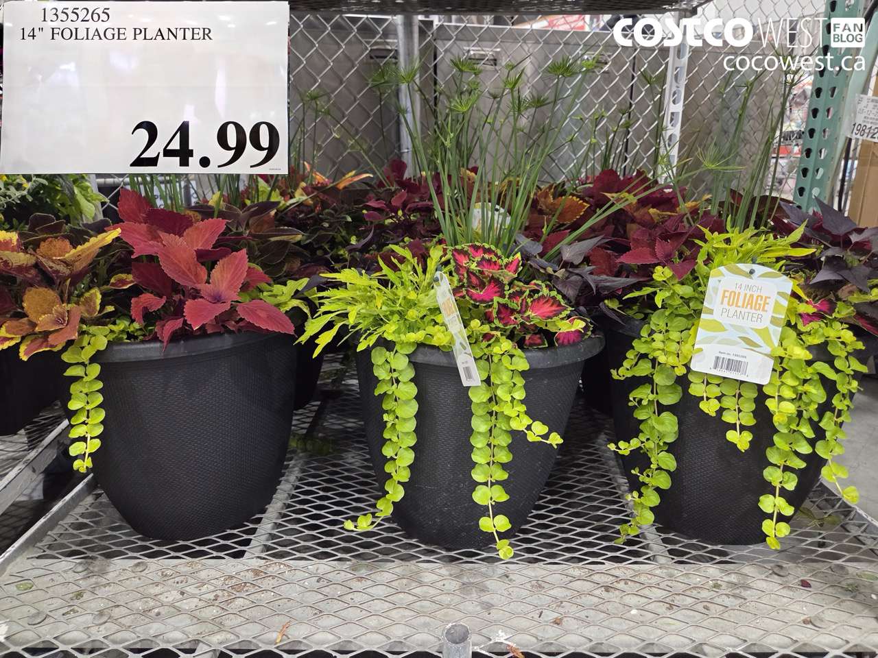 14″ FOLIAGE PLANTER