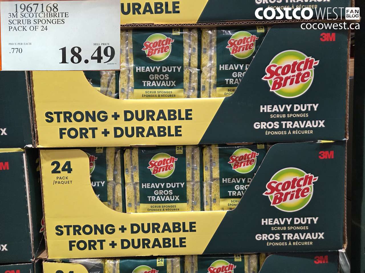 3M SCOTCHBRITE SCRUB SPONGES PACK OF 24