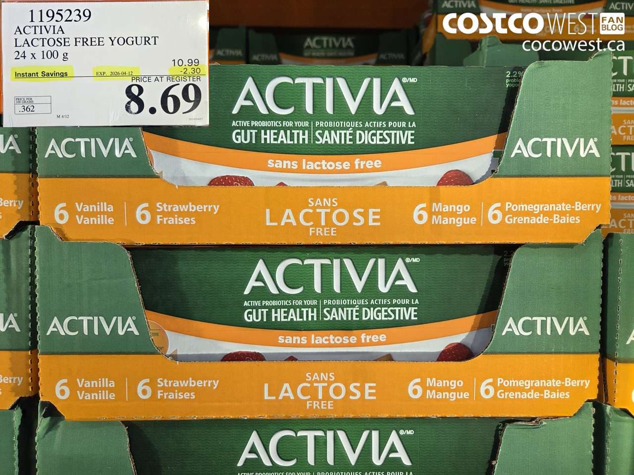 activa lactose free yogurt 24 x 100 g