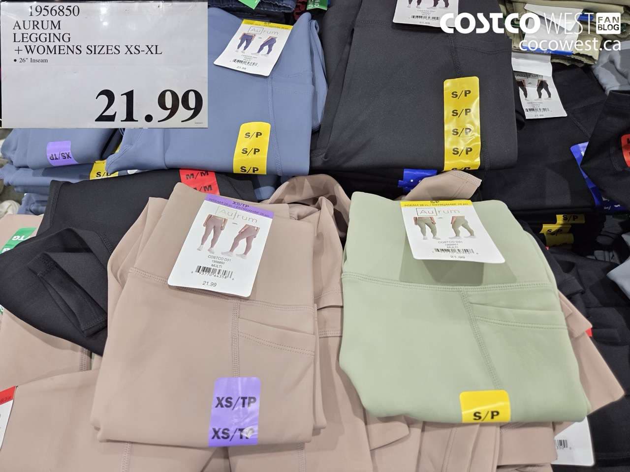 AURUM LEGGING +WOMENS SIZES XS-XL