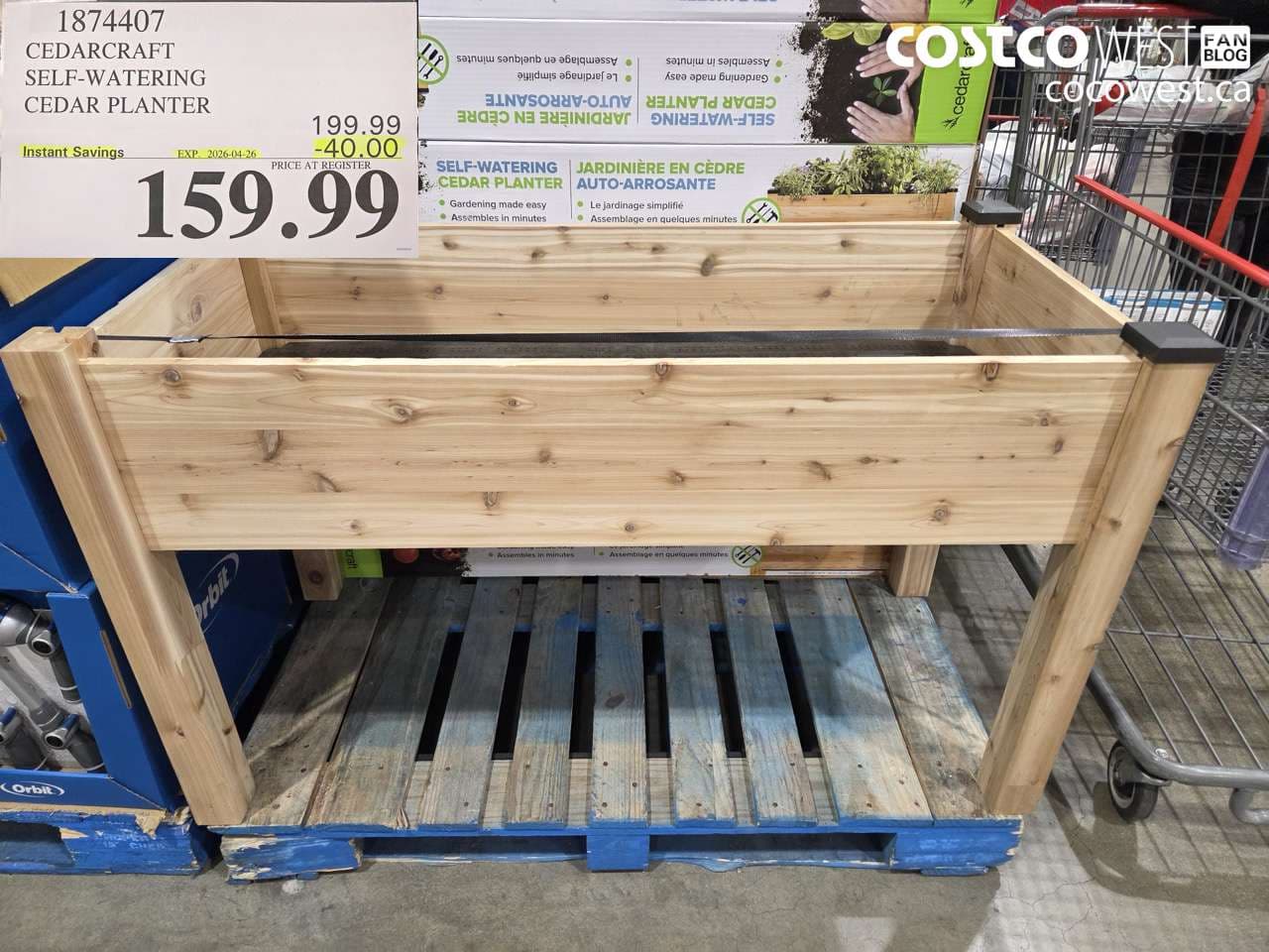 cedarcraft selfwatering cedar planter