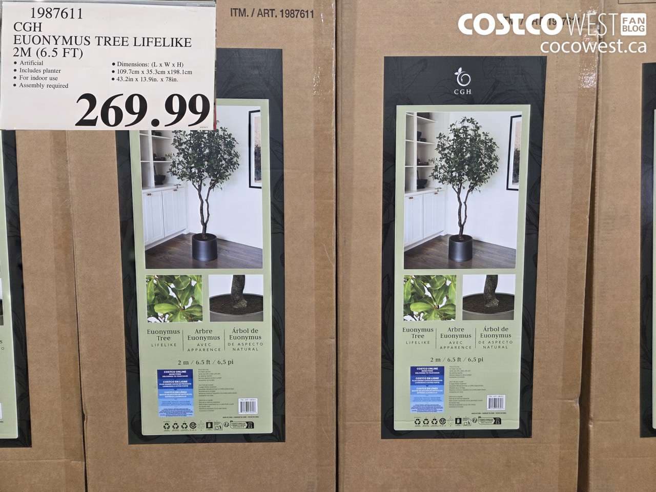 CGH EUONYMUS TREE LIFELIKE 2M (6.5 FT)