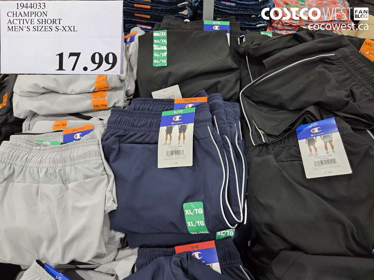 champion active short mens sizes sxxl