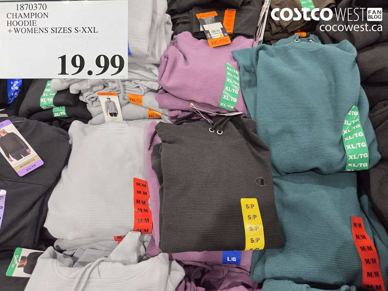 champion hoodie  womens sizes sxxl