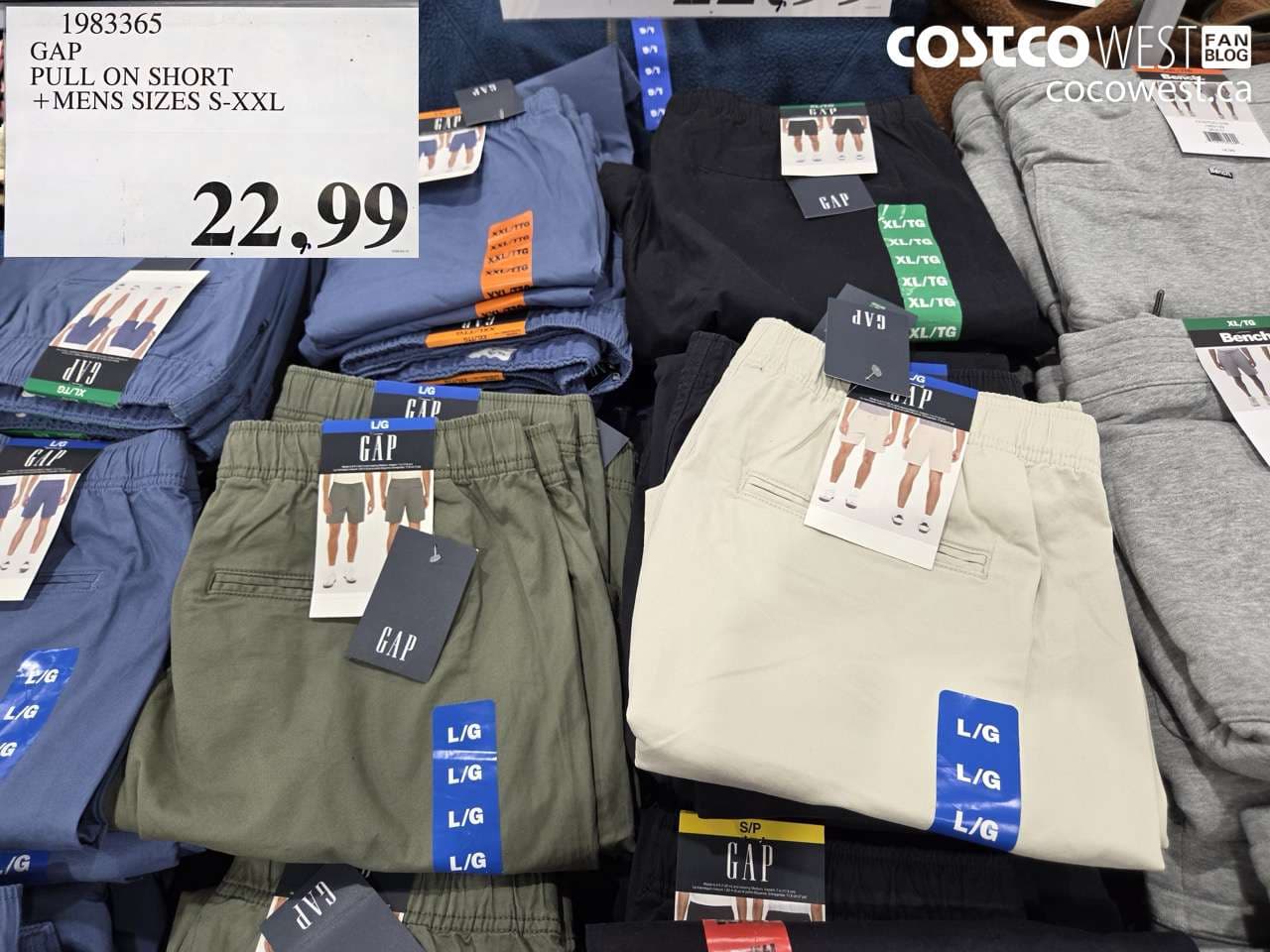 gap pull on short mens sizes sxxl