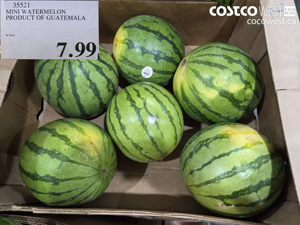 MINI WATERMELON PRODUCT OF GUATEMALA