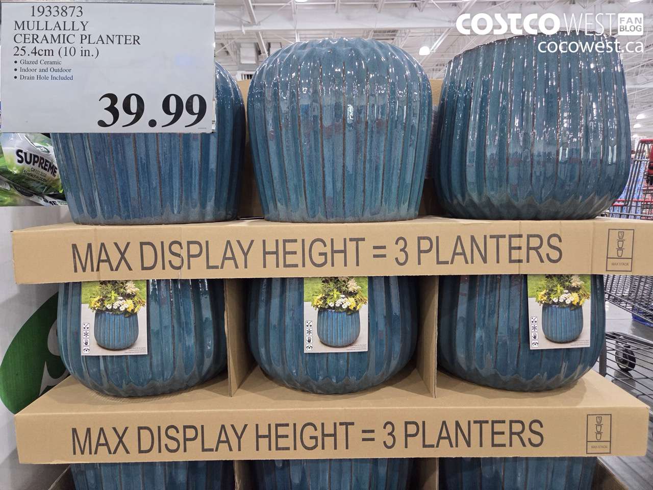 MULLALLY CERAMIC PLANTER 25.4CM (10 IN.)