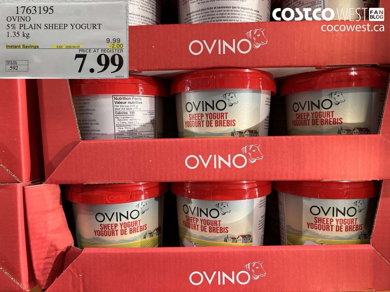 OVINO 5% PLAIN SHEEP YOGURT 1.35 KG