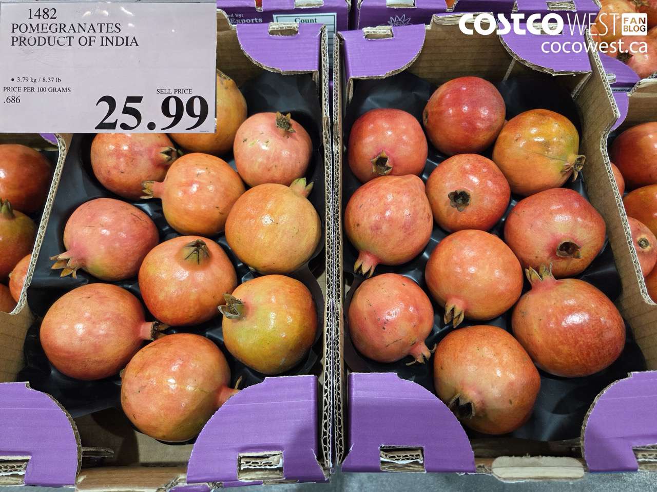 POMEGRANATES PRODUCT OF INDIA