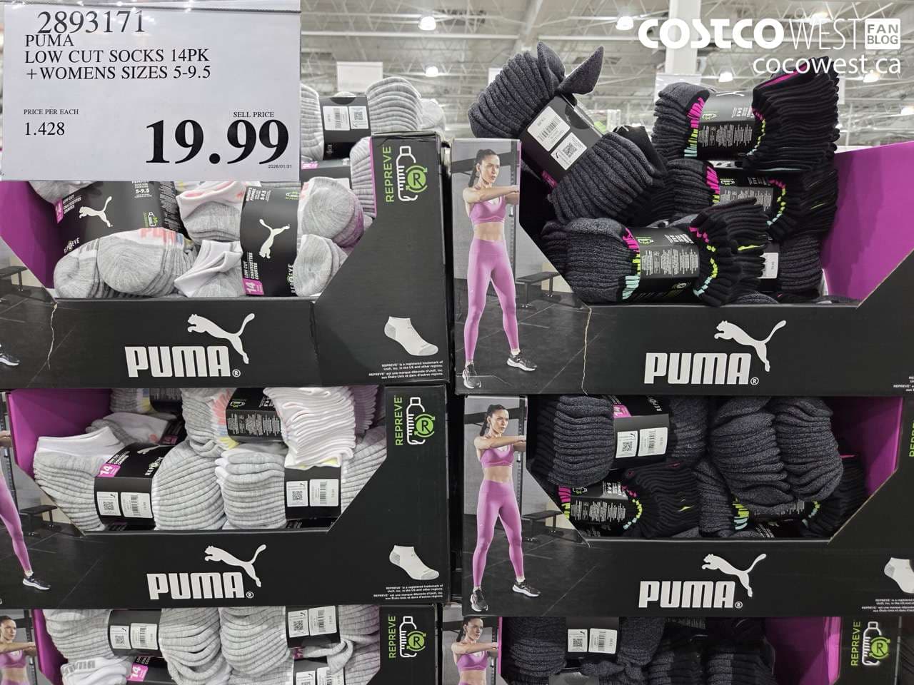 puma low cut socks 14pk  womens sizes 595